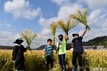 稲刈り体験の様子06