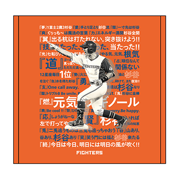 〜プロ支給品〜 ⭐️元日本ハムファイターズ杉谷拳士選手実使用バット⭐️背番号61 プロ支給品〜 ⭐️元日本ハムファイターズ杉谷拳士選手実使用