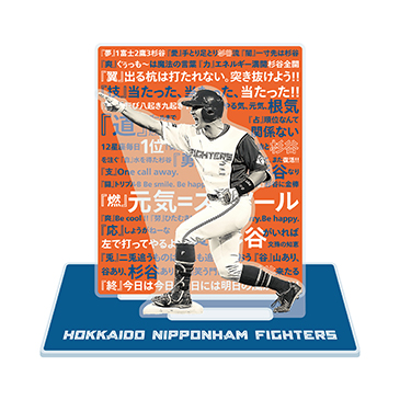 〜プロ支給品〜 ⭐️元日本ハムファイターズ杉谷拳士選手実使用バット⭐️背番号61 プロ支給品〜 ⭐️元日本ハムファイターズ杉谷拳士選手実使用