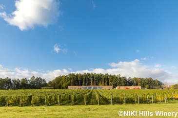 NIKI Hills Winery