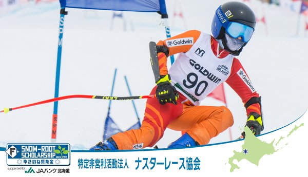 特定非営利活動法人 ナスターレース協会