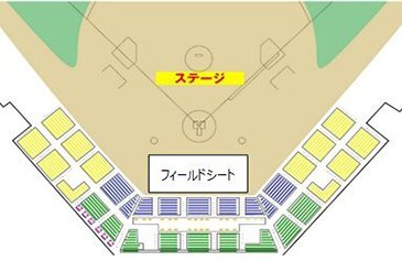 フィールドシートイメージ