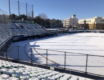 内野スタンド01