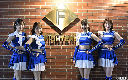 ファイターズガール