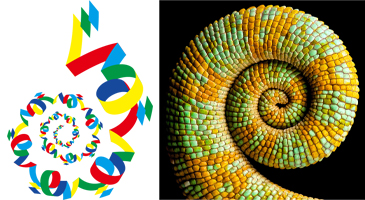 STEP3 自分と他者を共鳴させる