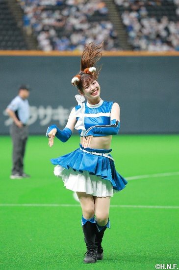 ファイターズガール