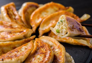 北海道の餃子 天のびろく02