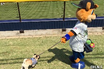 過去のわくわくペット同伴デーの様子01