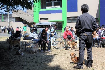過去のわくわくペット同伴デーの様子02