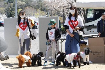 過去のわくわくペット同伴デーの様子03