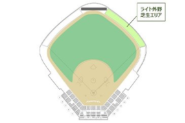 ライト外野芝生エリアの位置