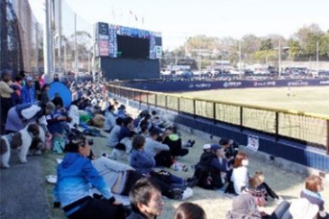 ライト外野芝生エリアの様子