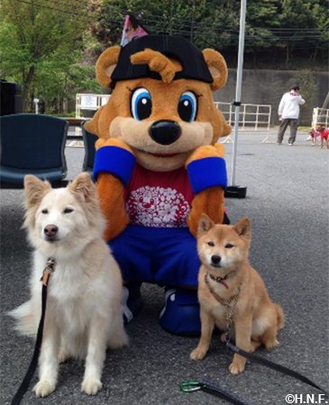 ペットと一緒！C・Bと写真撮影付きチケット