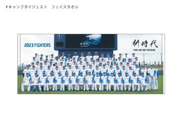 フェイスタオル