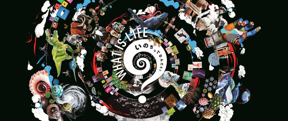 WHAT IS LIFE展～いのちってなんだろう～