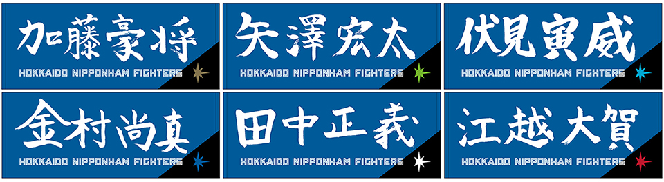 日本ハムファイターズ FAV限定グッズ フェイスタオル＆トート