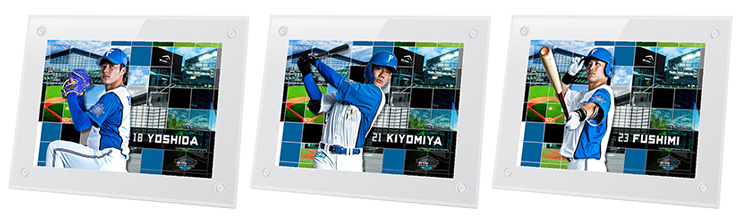 北海道日本ハムファイターズ　プラクティスユニフォーム　プロコレクション プラクティス プロコレクションユニフォーム&プレイヤーズ