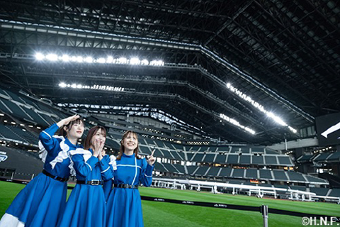 ファイターズガール②