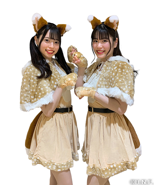 ファイターズガールスペシャルコスチューム