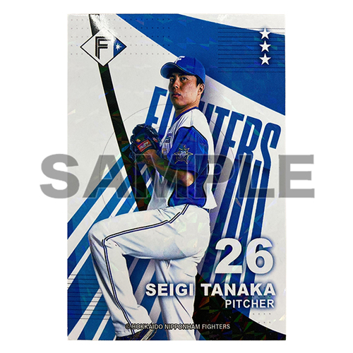 ファイターズトレカ