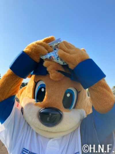 北海道日本ハムファイターズ　スタジャン　鎌ヶ谷　送料無料 8/21(水)鎌スタ☆梨まつり開催！ | 北海道日本ハムファイターズ