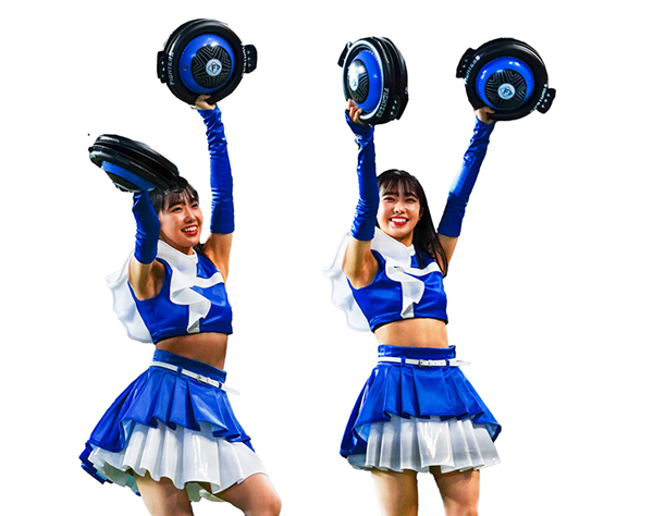 ファイターズガール