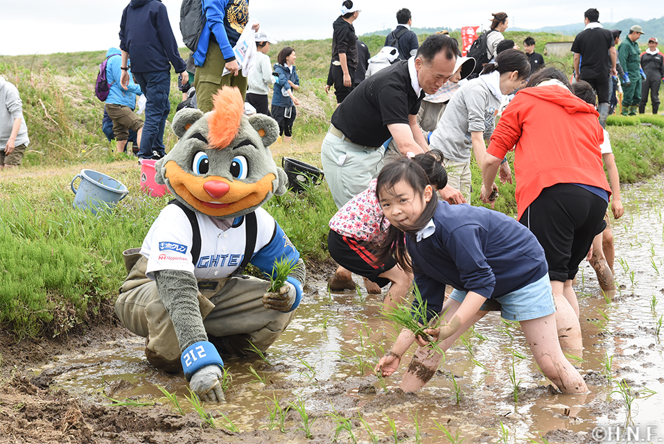 栗山町でのふぁい田!02