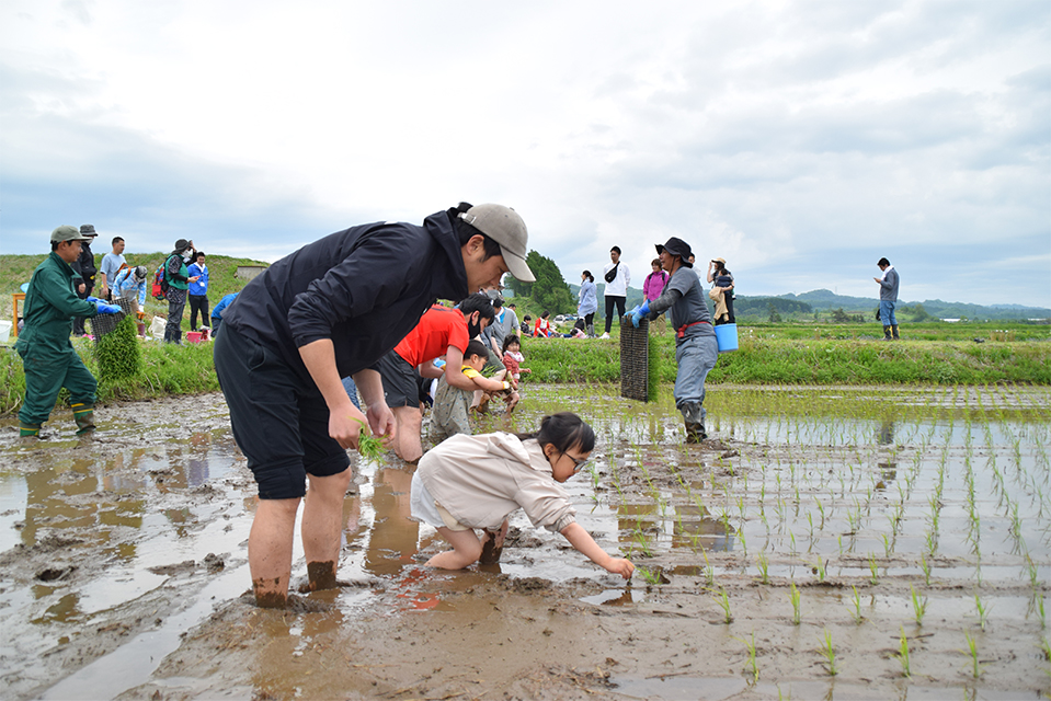 栗山町でのふぁい田!03