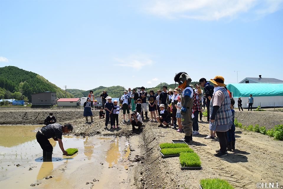 厚真町でのふぁい田!01