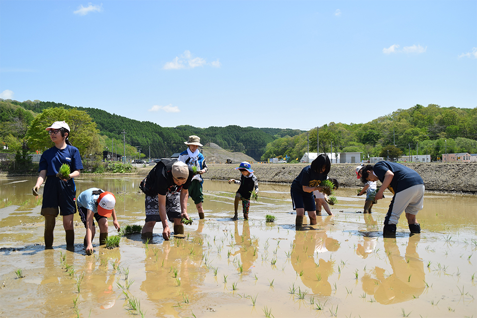 厚真町でのふぁい田!02