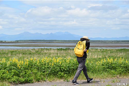 野付半島丸ごとウォーニック