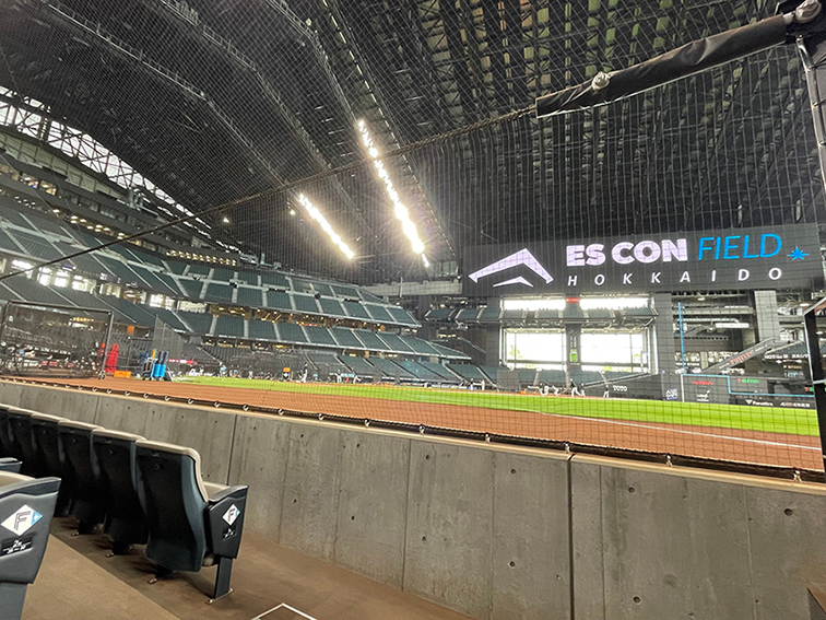 練習見学ダグアウトクラブシート