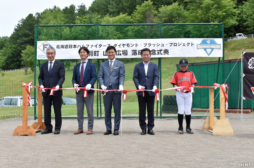 <ダイヤモンド・ブラッシュ>プロジェクト02