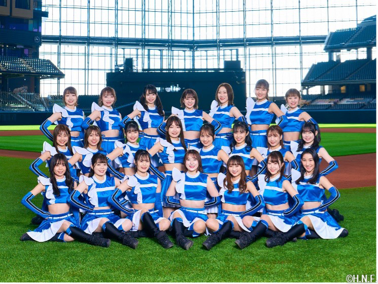 ファイターズガール