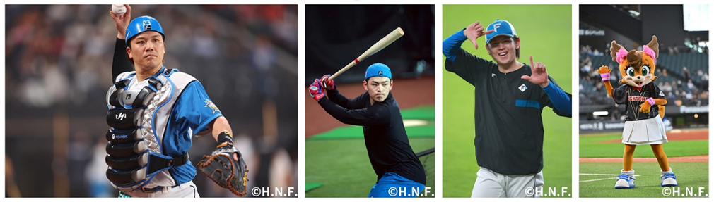 ハイライト写真