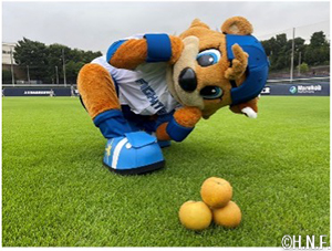 北海道日本ハムファイターズ　スタジャン　鎌ヶ谷　送料無料 北海道日本ハムファイターズ スタジャン 鎌ヶ谷 送料無料 2025年