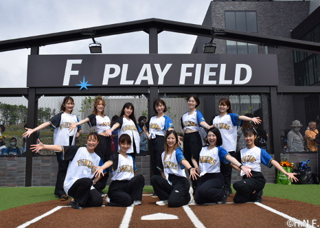 ファイターズガール