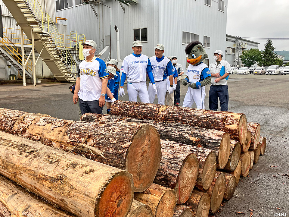 丸玉木材津別工場見学