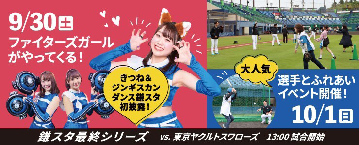 ファイターズガール