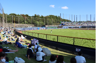 外野芝生エリア販売