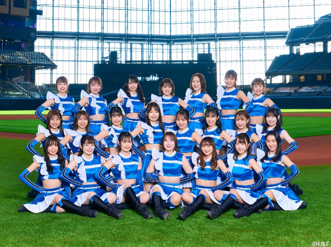 ファイターズガール