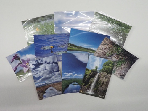 雨竜沼湿原ポストカード