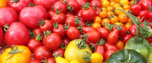 シゼントトモニイキルコト / 野菜