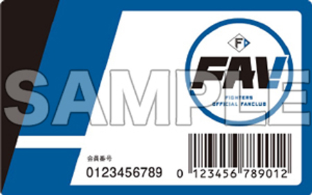 FAVカード