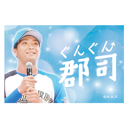 日本ハム 郡司裕也選手 直筆サイン入りエスコン実使用試合球 アクリルボード付き 日本ハム 郡司裕也選手 直筆サイン入りエスコン実使用試合球