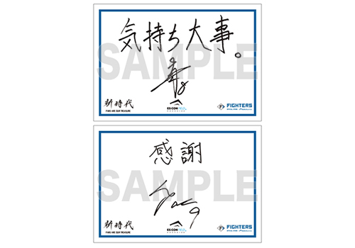 日本ハムファイターズ　記念グッズ 北海道日本ハムファイターズ グッズ まとめ売り - メルカリ