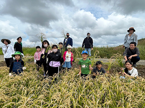 稲刈りの様子03