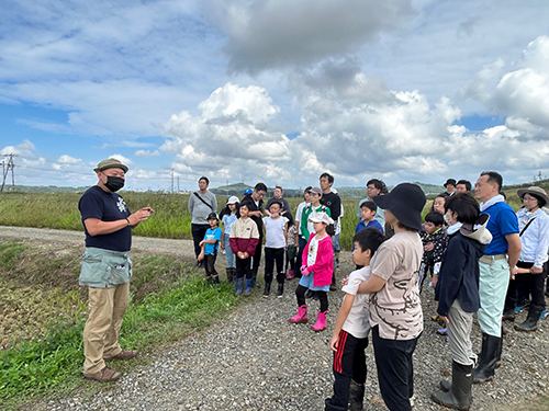 稲刈りの様子06