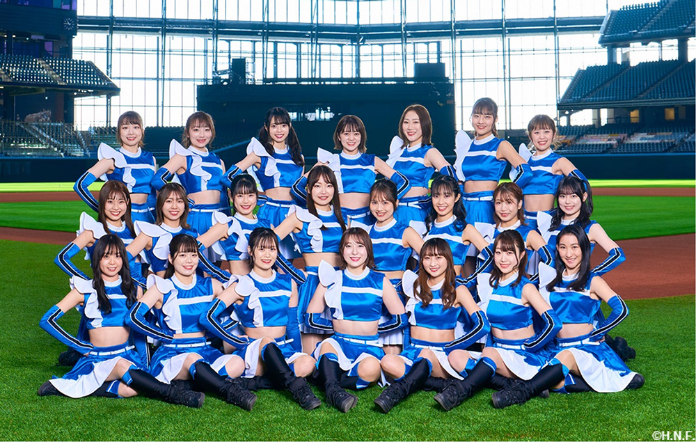 ファイターズガール