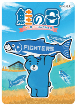 新品未開封 非売品 北海道 日本ハムファイターズ 大航海は続く